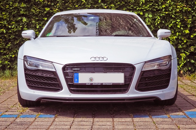 Audi Çıkma Yedek Parça Emme Manifold Klapesi (Swirl / VTC)