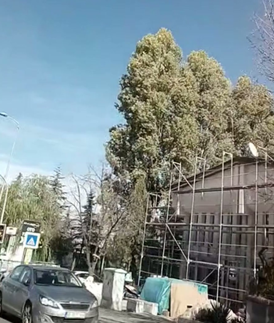 Audi Çıkma Kaporta Yedek Parça