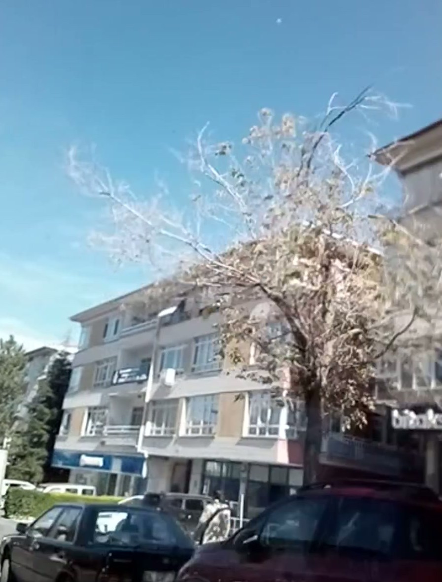 Seat Çıkma Kaporta Yedek Parça
