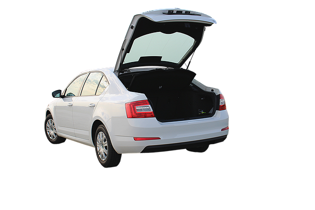 Skoda Çıkma Yedek Parça Isı Pompası (Hibrit ve Elektrikli)