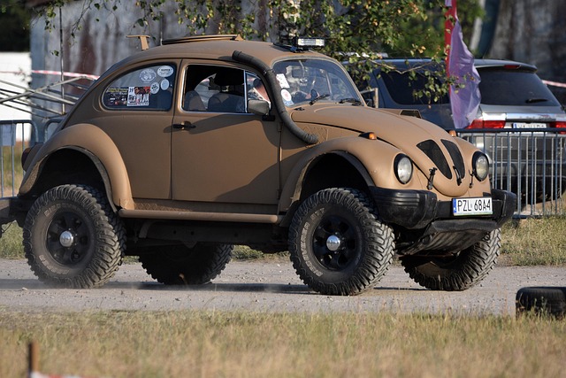 Volkswagen Çıkma Yedek Parça HalI Döşemesi (Komple / Set)