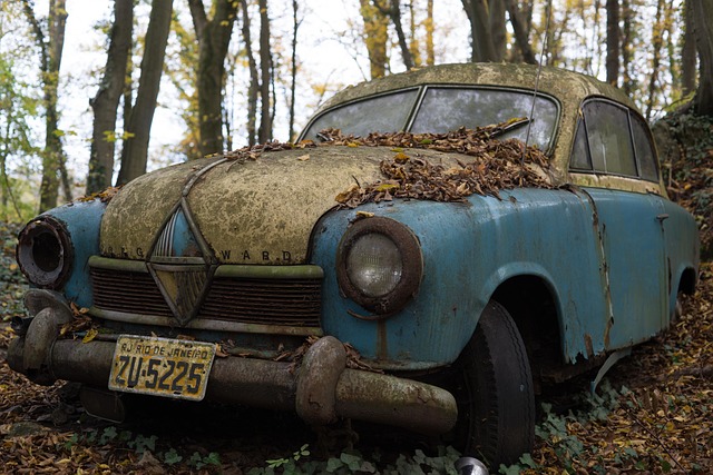 Volkswagen Çıkma Yedek Parça Şanzıman Rulman Seti